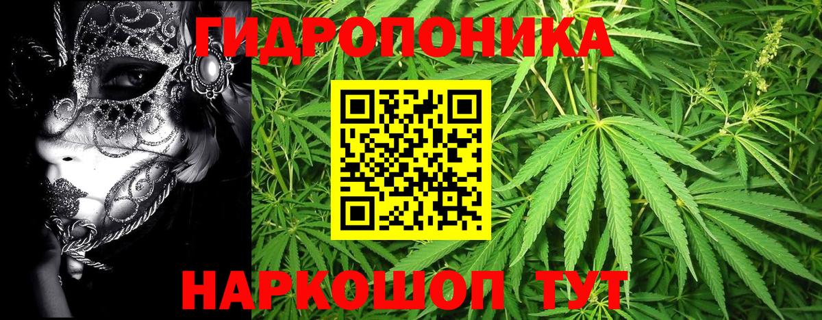 Конопля Ganja Кашира